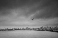 Mumbai monsoon Mumbai Monsoon Street
